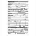 8 Loan Application Form Templates Word Pages Google Docs PDF