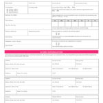 Free Printable Charlotte Russe Job Application Form