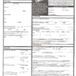 Free Printable Jack In The Box Job Application Form