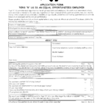 Free Printable Toys R Us Job Application Form