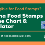 Indiana Food Stamps Eligibility Guide Food Stamps EBT