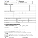 Loan Application Template Free Printable Documents