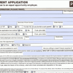 Pacific Sunwear PacSun Application PDF Print Out