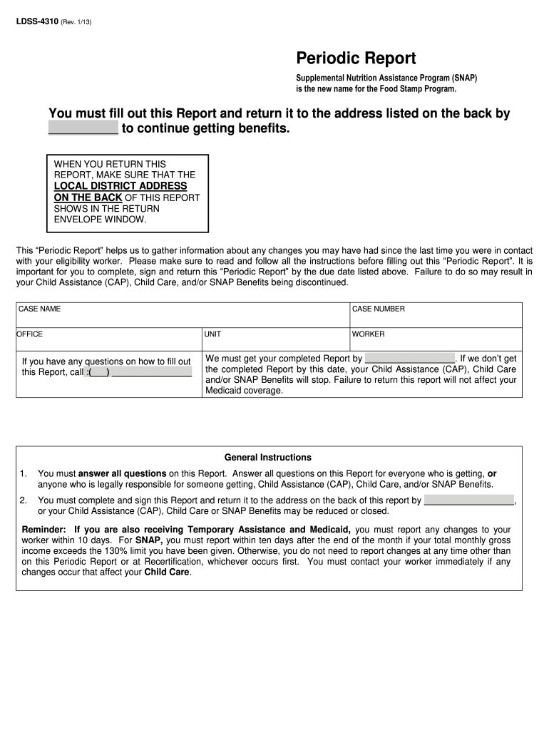 Nys Snap Application Printable Printable Application