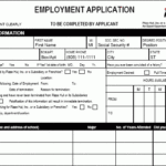 Pizza Hut Application PDF Print Out