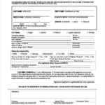 Printable Applications 8 Free Word PDF Document Download Free