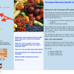 Tennessee Food Stamps Balance Tennessee Food Stamps